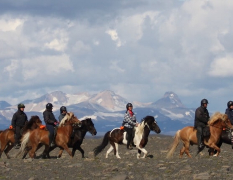 Média réf. 580 (1/3): Demi-journée à cheval