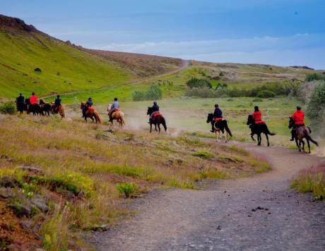 Média réf. 4075 (1/2): Randonnée equesttre d'une journée dans la région de Hveragerdi