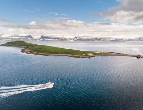 Média réf. 3478 (3/4): Croisière sur l’île de Vigur depuis Isafjördur