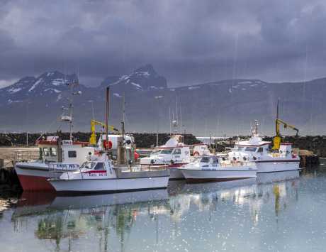 Média réf. 4396 (8/13): 